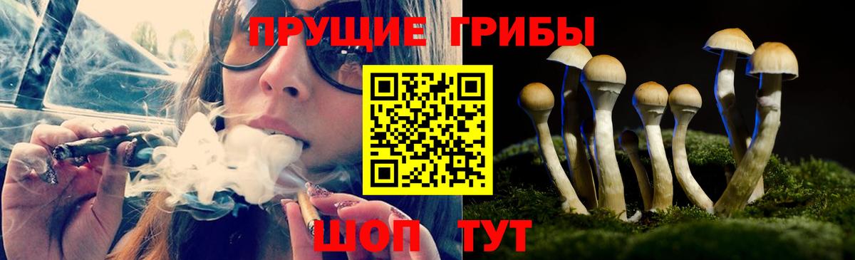 Псилоцибиновые грибы Magic Shrooms Симферополь